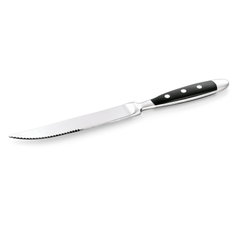 Steakmesser Set BISTRO, 21,5 cm, mit Kunststoffgriff, Set á 12 Stück, Chromstahl 18/0