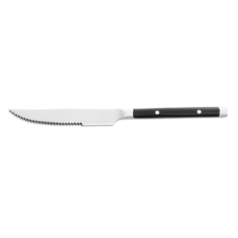 Steakmesser Set BISTRO TREND, 21 cm, mit Kunststoffgriff, Set á 12 Stück, Chromstahl 13/0