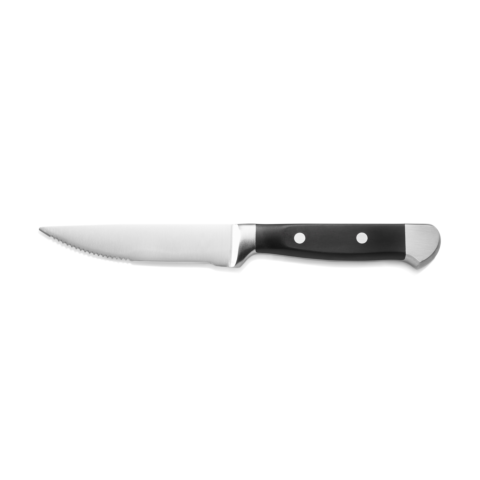 Steakmesser Set, mit POM Kunststoffgriff, 25,5 cm, Set á 6 Stück, Polyoxymethylen, Chromstahl 13/0