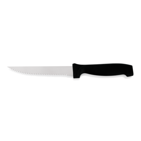 Steakmesser Set, mit Kunststoffgriff, 22 cm, Set á 6 Stück, Edelstahl