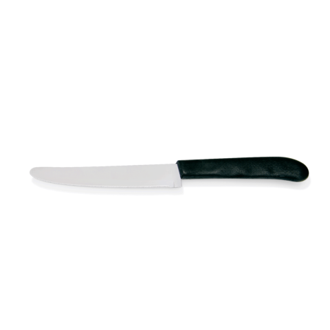Steakmesser Set, mit Kunststoffgriff, 22 cm, Set á 6 Stück, Edelstahl