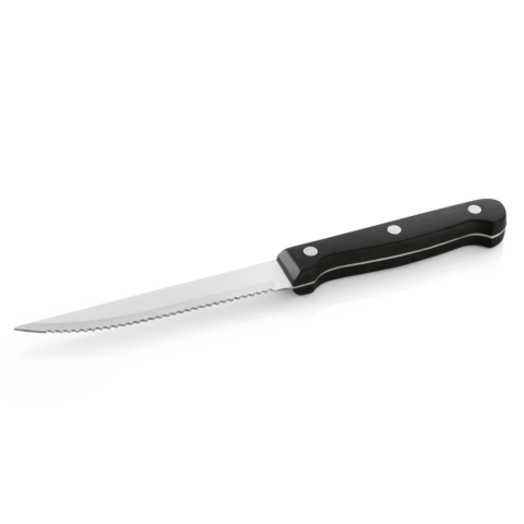 Steak-/Pizzamesser Set, mit Kunststoffgriff, 21 cm, Set á 12 Stück, Edelstahl