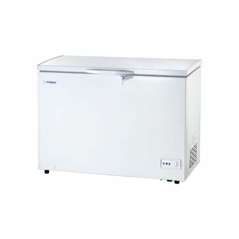 Tiefkühltruhe 282 Liter, -18°C, LED-Beleuchtung, 0.105 kW