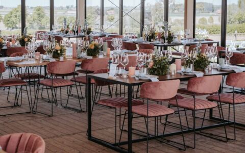 Mundo Stapelstuhl Rosa, Velours gepolstert, 54x55x79cm 